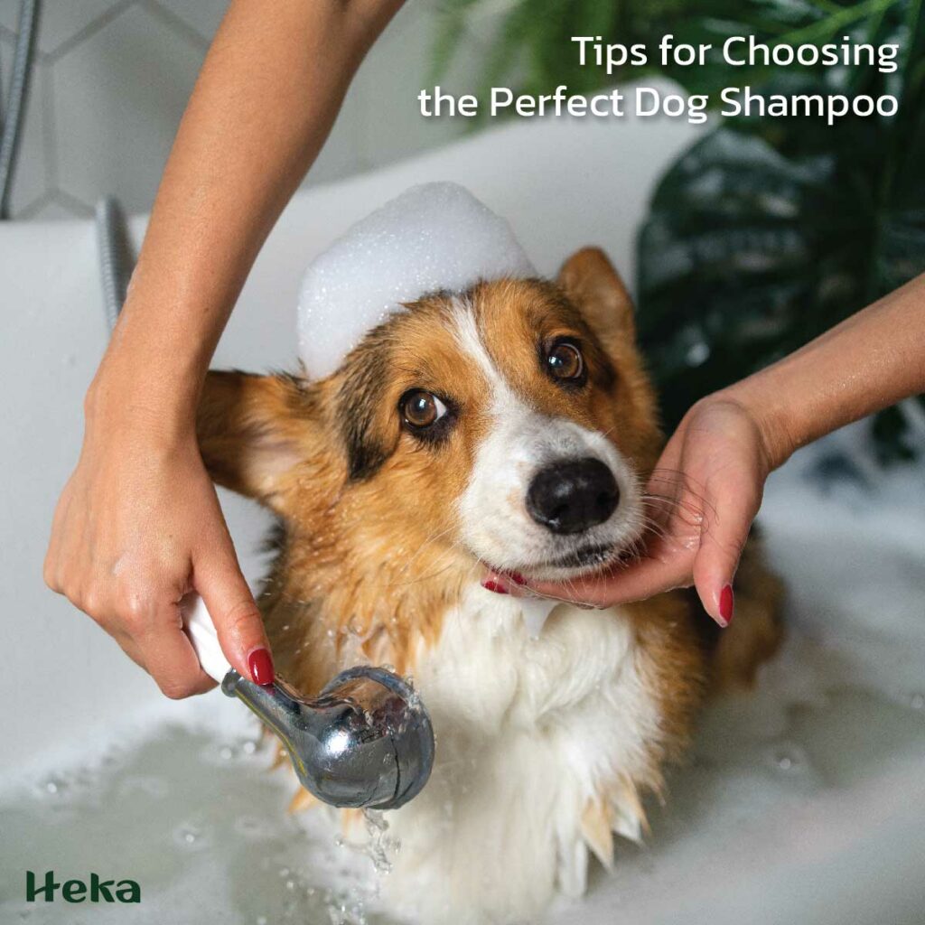 PET PRODUCTS MANUFACTURING