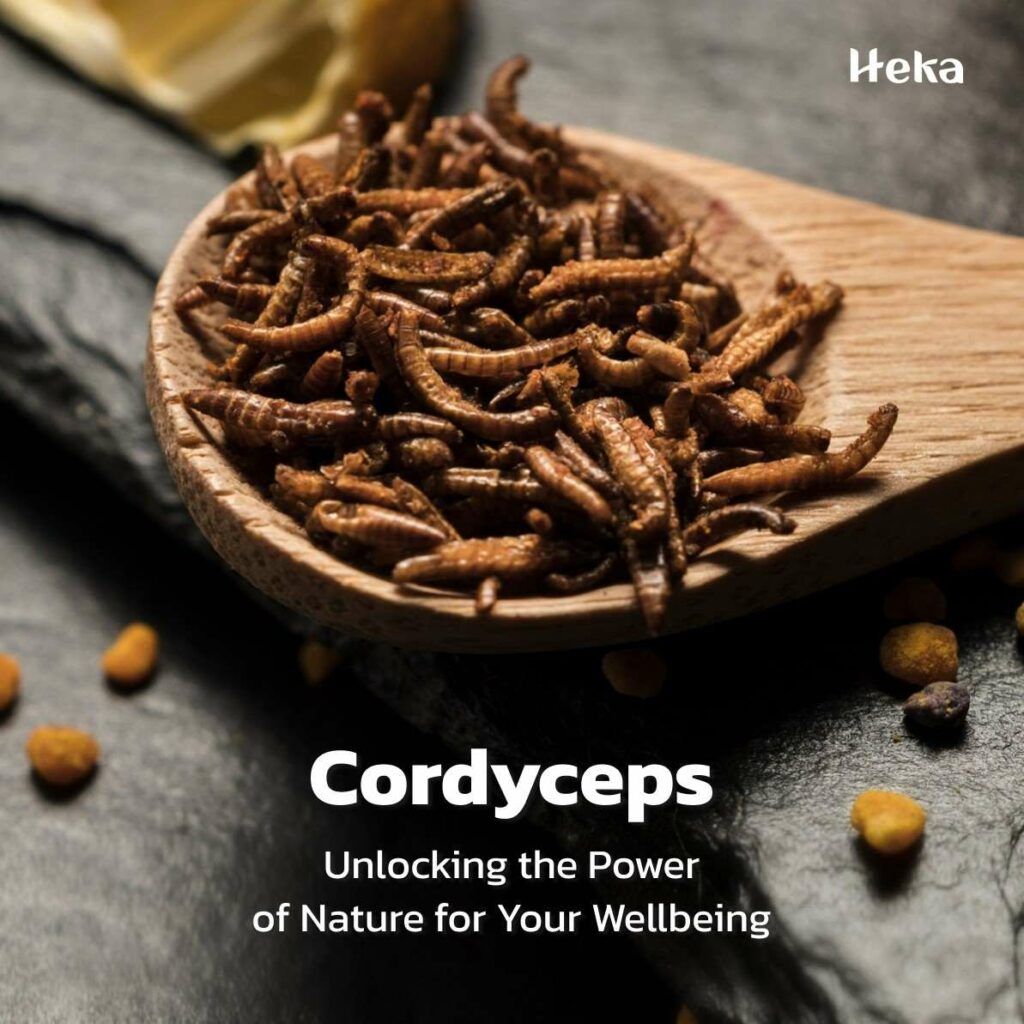 benefits-of-Cordyceps